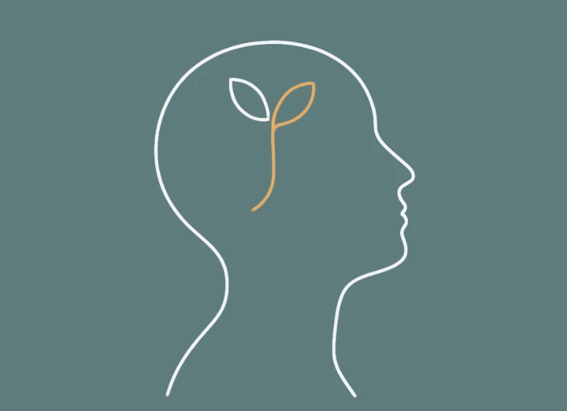 Alpineflow Journey Etappe 4: Neuprogrammieren